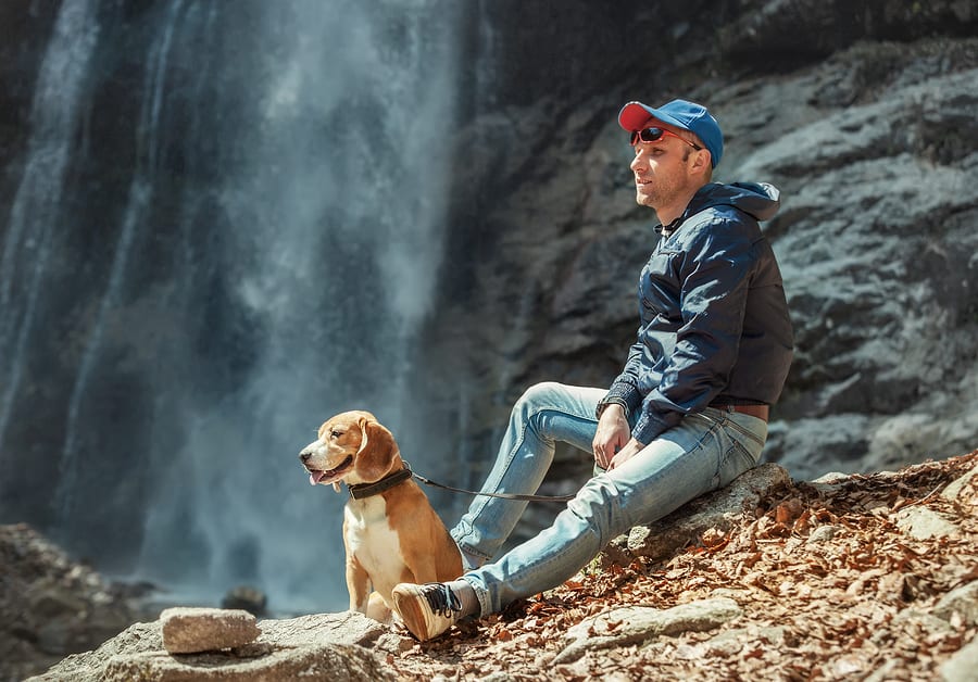 hiking with dogs Man With his Dog Sitting Near Waterfall trail manners