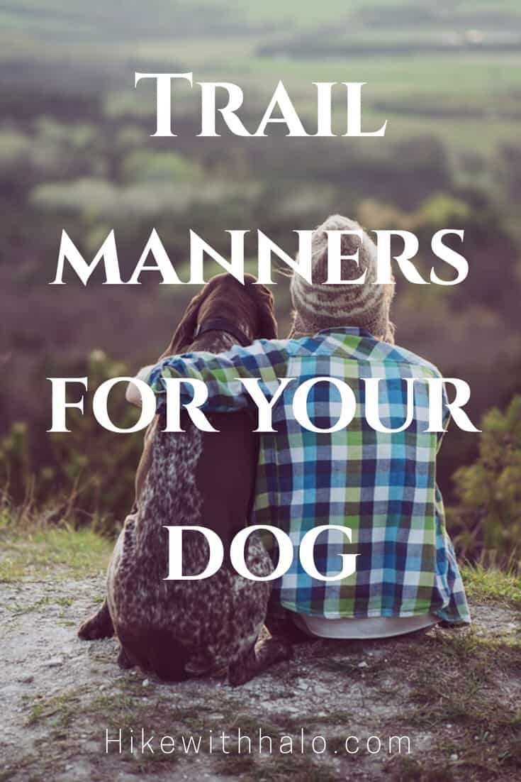 trail manners for hiking with dogs