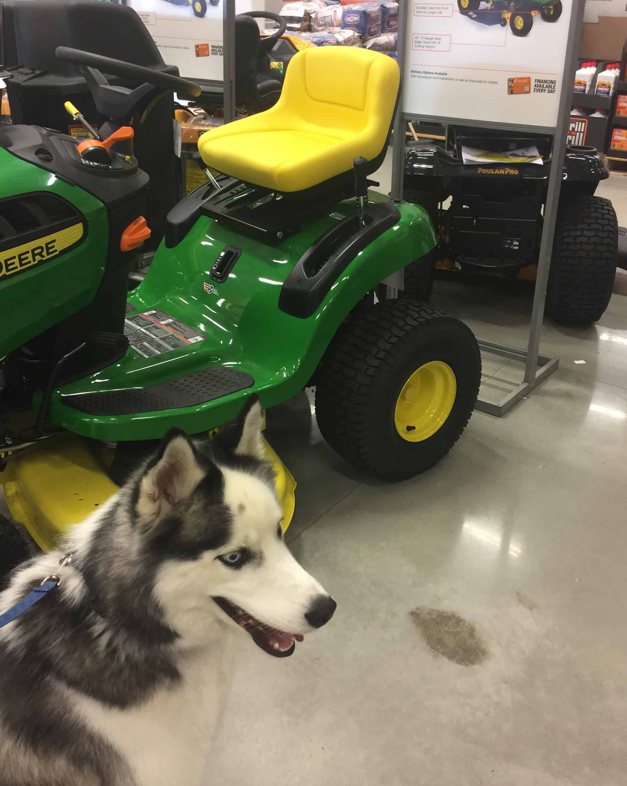 husky at home depot