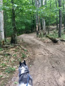 Halo on an atv trails 