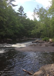 river on atv trail hiking with dog