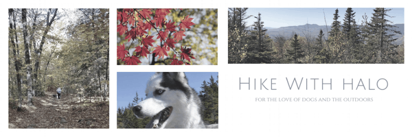 hike with halo photo banner