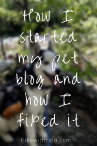 how i started my pet blog