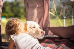 Camping with Dogs what you will need