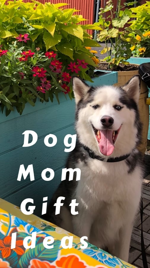 Dog Mom Gift Ideas