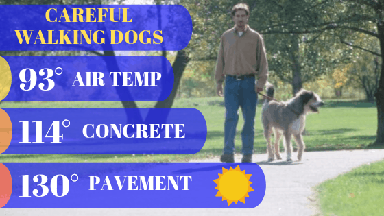 How to keep dogs cool on hot days