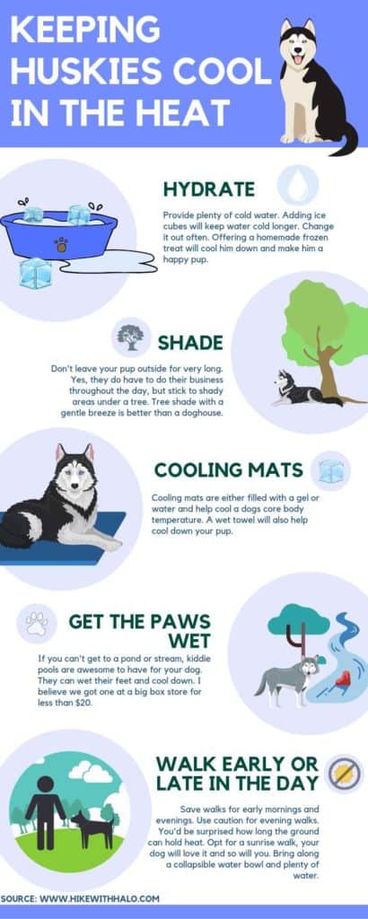 How to keep Huskies cool on hot days