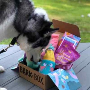Halo's first Bark Box